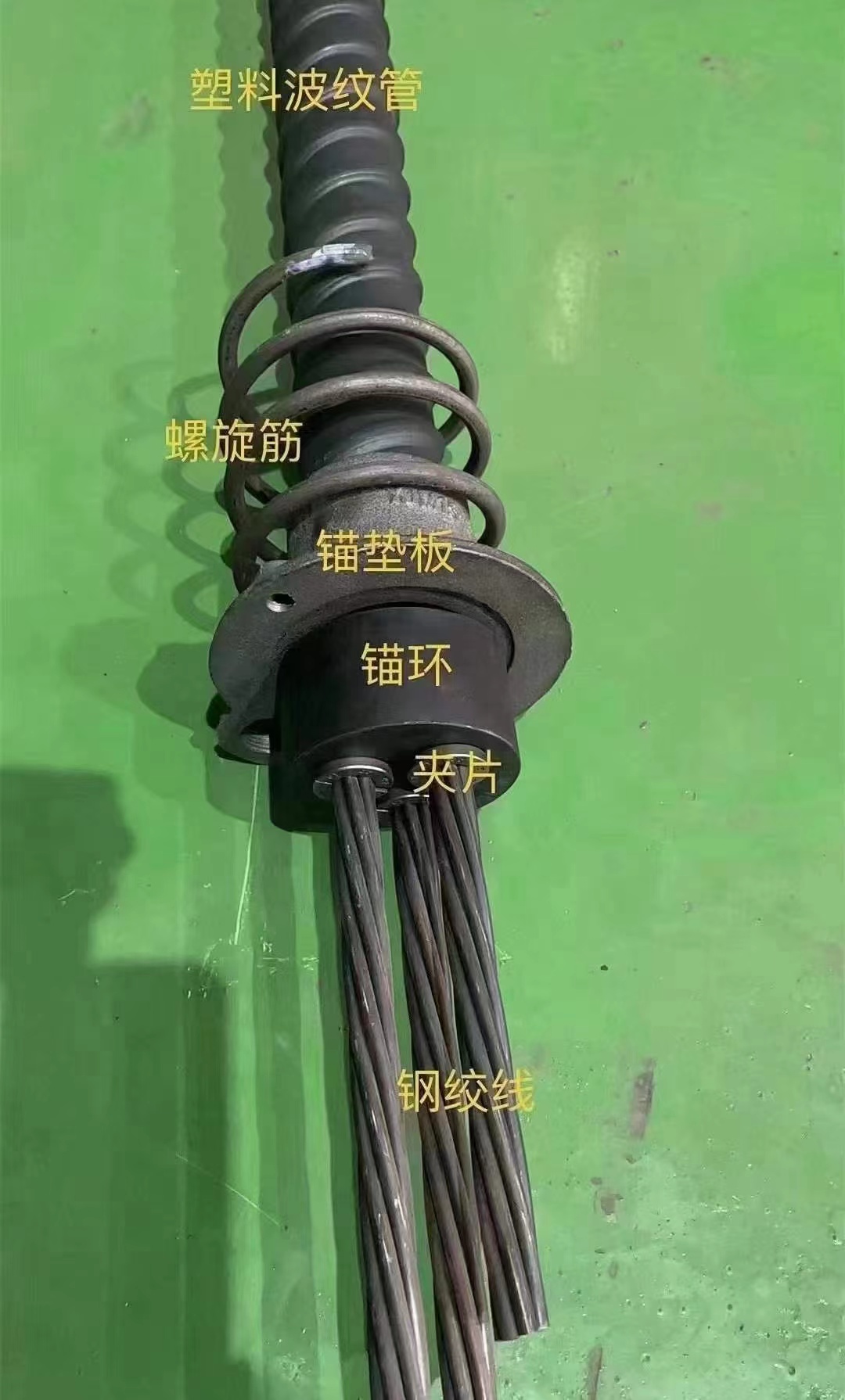 <b>15ϵ^</b>